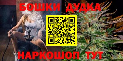 дурь Сланцы