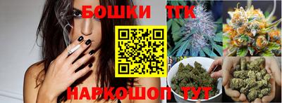 дурь Сланцы