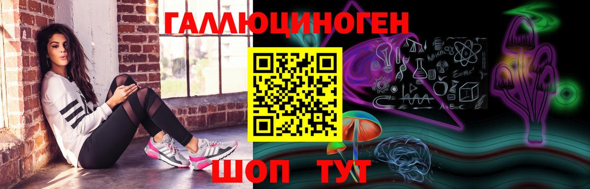 Озёрск  Псилоцибиновые грибы GOLDEN TEACHER  Вход с VPN  Псилоцибиновые грибы Magic Shrooms 
